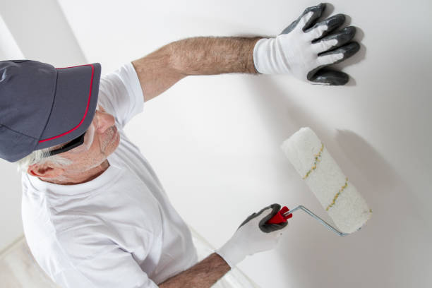 Best Mold Odor Removal Services  in Liberty Triangle, FL